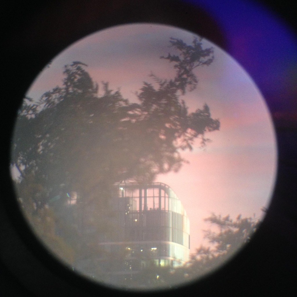 Digital image of a tree and a building in the background taken on an iPhone 6, shot through monocular.